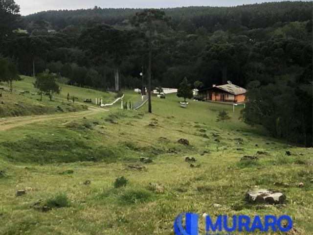 Sítio e chácara venda em Região Geográfica Imediata de Caxias do Sul, Caxias do Sul