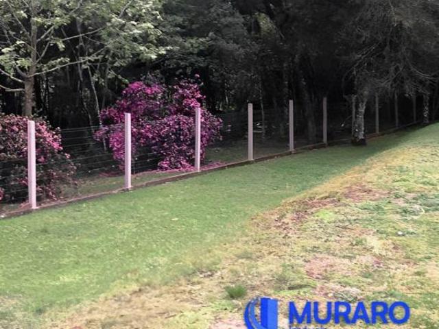 Sitio venda em Caxias do Sul, Exposição