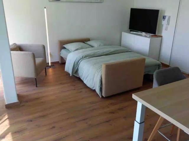Appartement location à Saint-Julien-en-Genevois, Annemasse