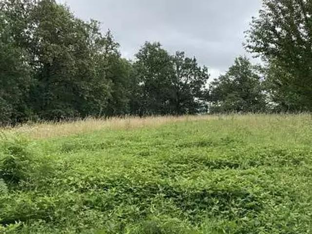 Terrain vente à Brive-la-Gaillarde, Chabrignac