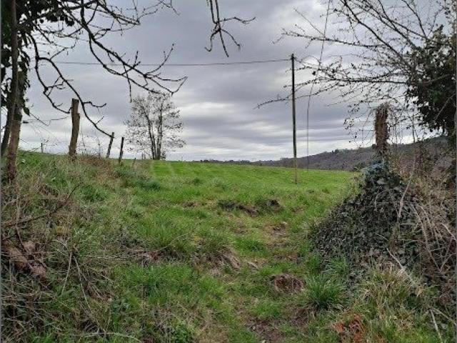Terrain vente à Brive-la-Gaillarde, Chabrignac