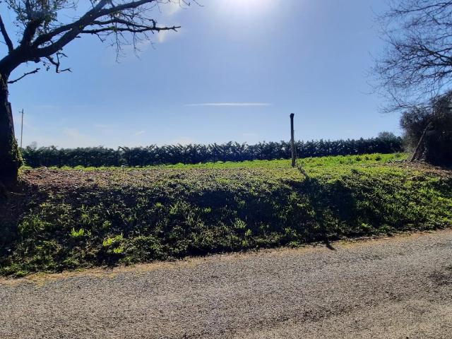 Terrain vente à Brive-la-Gaillarde, Chabrignac