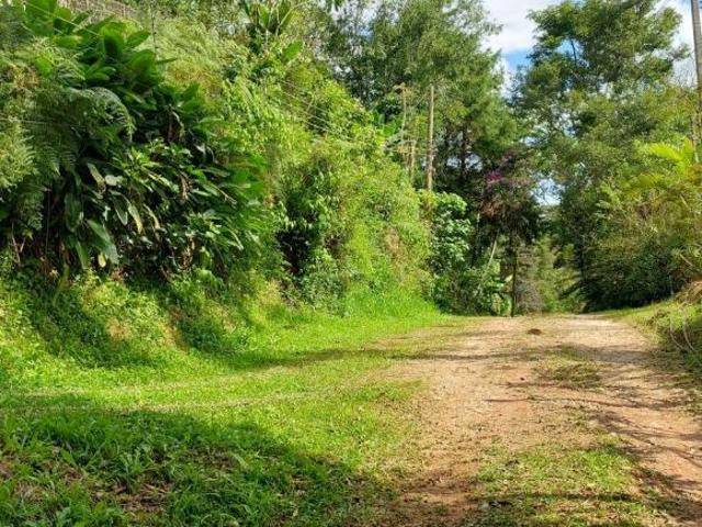 Sítio e chácara venda em Região Imediata de São Paulo, Região Metropolitana de São Paulo
