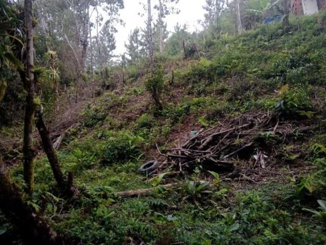 Sítio e chácara venda em Região Imediata de São Paulo, Região Metropolitana de São Paulo
