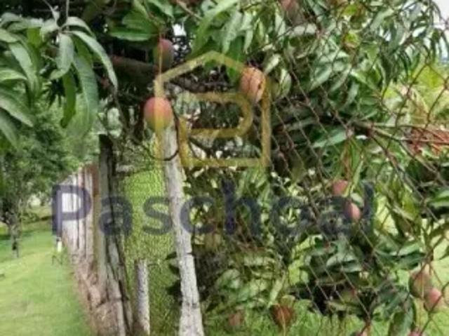 Fazenda venda em Região Imediata de Sorocaba, Região Metropolitana de Sorocaba