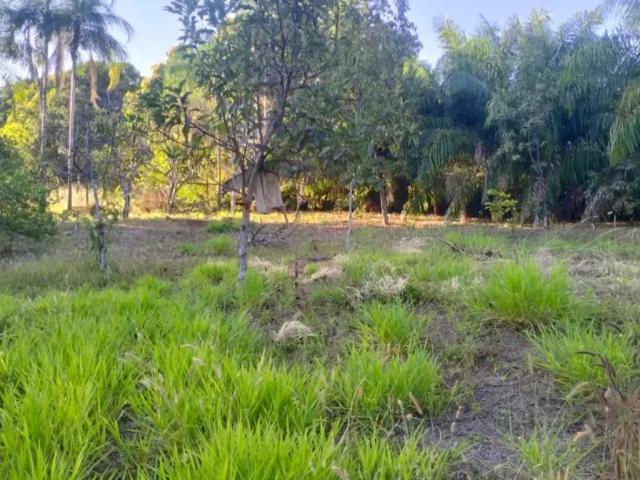 Fazenda venda em Região Geográfica Imediata de Goiânia, Goiânia