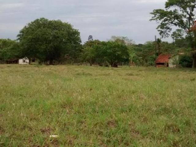 Sítio e chácara venda em Região Imediata de São José do Rio Preto, Região Metropolitana de São José do Rio Preto