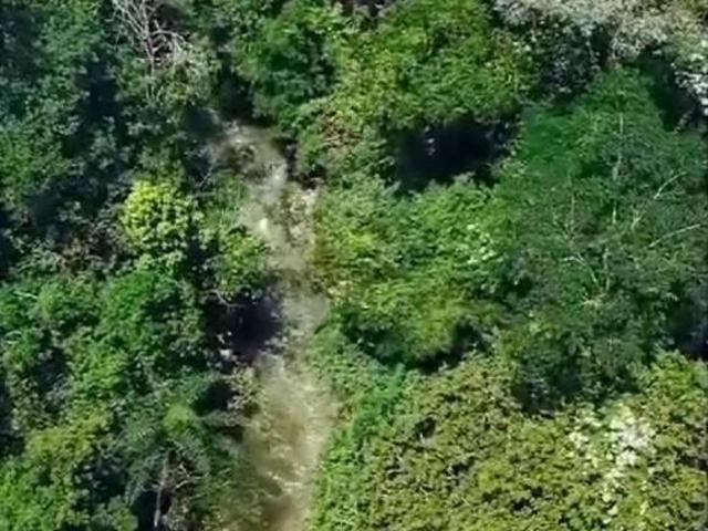 Sítio e chácara venda em Região Geográfica Imediata de Luziânia, Região Integrada de Desenvolvimento do Distrito Federal e Entorno