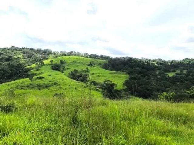 Sítio e chácara venda em Região Geográfica Imediata de Oliveira, Piracema