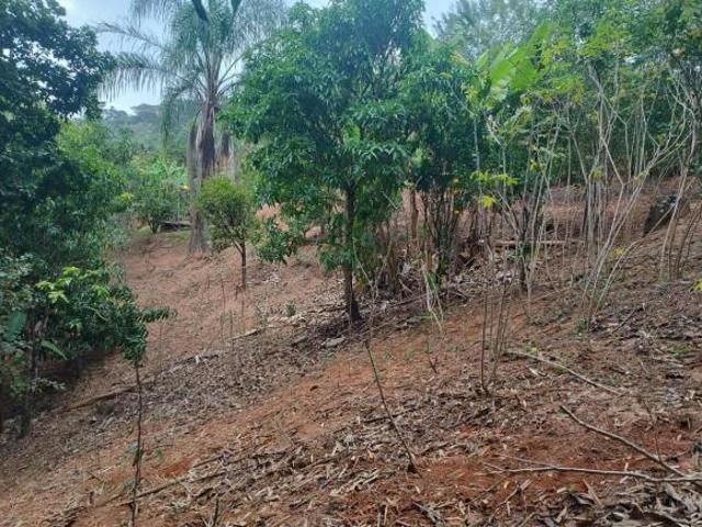 Sítio e chácara venda em Região Geográfica Imediata de Belo Horizonte, Região Metropolitana de Belo Horizonte