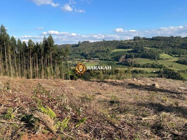 Sítio e chácara venda em Região Geográfica Imediata de Caxias do Sul, Nova Petrópolis