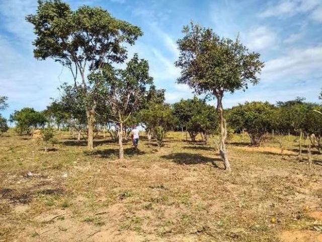 Sítio e chácara venda em Região Geográfica Imediata de Oliveira, Bonfim