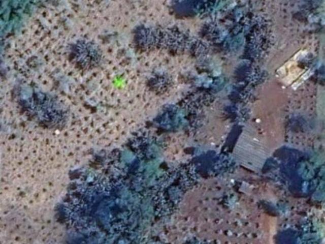 Sítio e chácara venda em Região Geográfica Imediata de Campo Mourão, Roncador