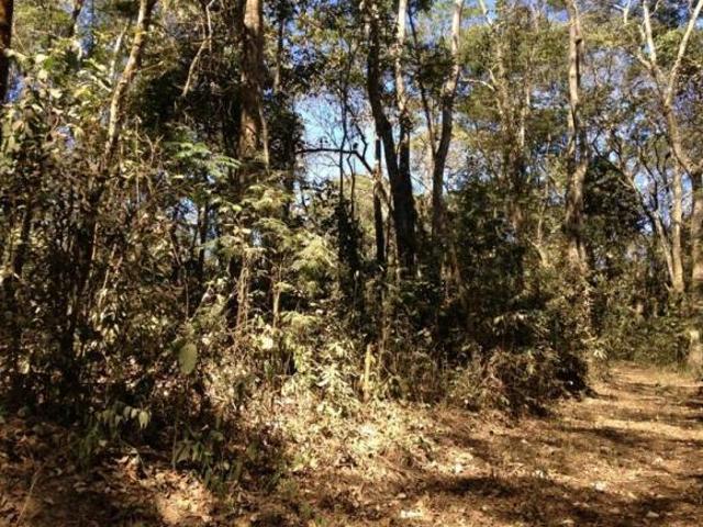 Sítio e chácara venda em Região Geográfica Imediata de Belo Horizonte, Região Metropolitana de Belo Horizonte