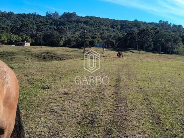 Sítio e chácara venda em Região Geográfica Imediata de Santa Cruz do Sul, Santa Cruz do Sul