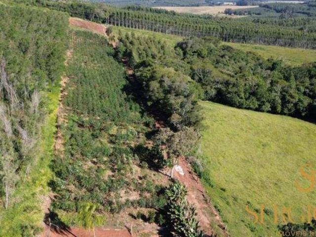 Sítio e chácara venda em Região Geográfica Imediata de Charqueadas - Triunfo - São Jerônimo, Região Metropolitana de Porto Alegre