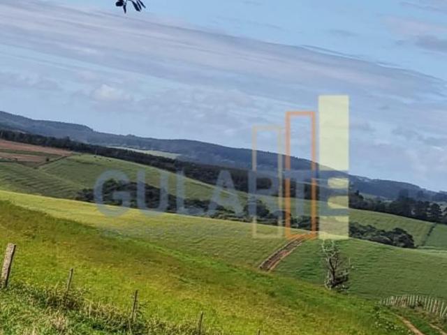 Sítio e chácara venda em Região Geográfica Imediata de Porto Alegre, Região Metropolitana de Porto Alegre