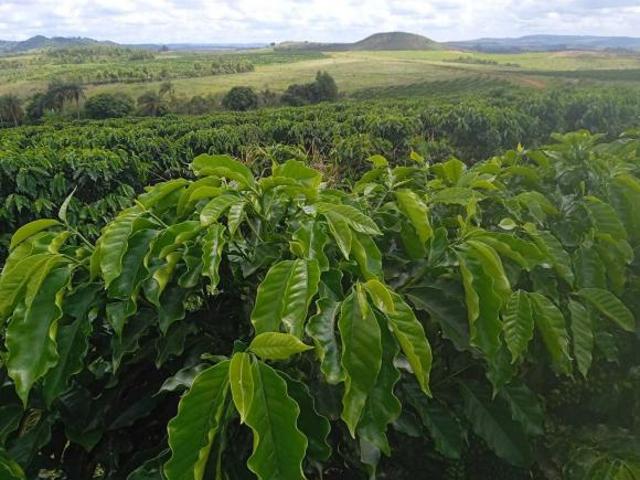 Sítio e chácara venda em Região Geográfica Imediata de Patos de Minas, Tiros