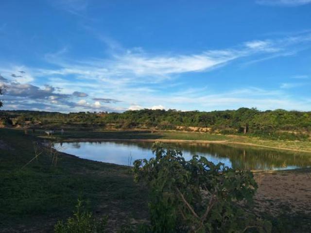 Sítio e chácara venda em Região Geográfica Imediata de Patos de Minas, Patos de Minas