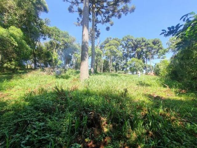 Sítio e chácara venda em Região Geográfica Imediata de Curitiba, Região Metropolitana de Curitiba