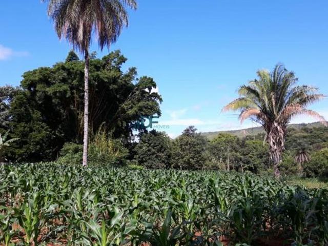 Sítio e chácara venda em Região Geográfica Imediata de Luziânia, Região Integrada de Desenvolvimento do Distrito Federal e Entorno