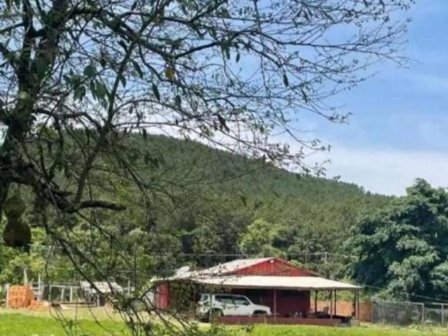 Sítio e chácara venda em Região Geográfica Imediata de Cascavel, Guaraniaçu