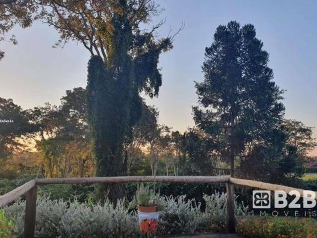 Sítio e chácara venda em Região Imediata de Bauru, Arealva
