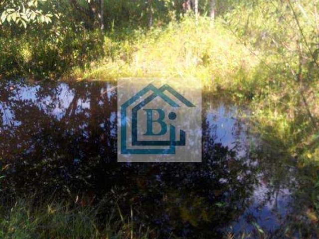 Sítio e chácara venda em Região Imediata de Santos, Região Metropolitana da Baixada Santista