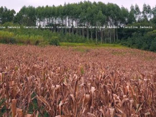 Sítio e chácara venda em Região Geográfica Imediata de Camaquã, Sentinela do Sul
