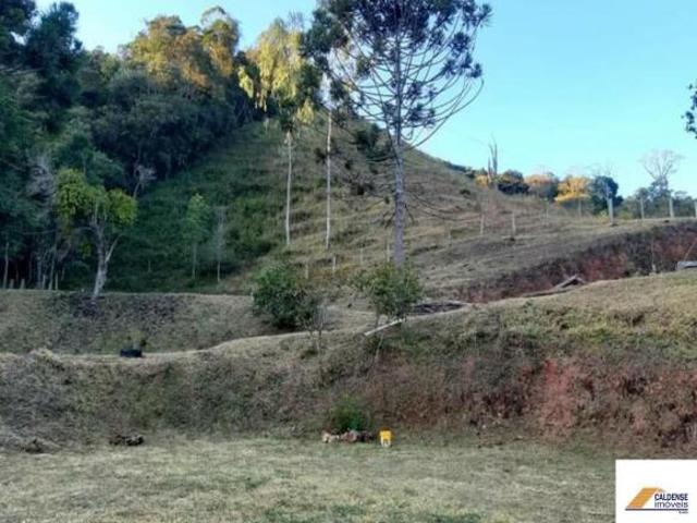 Sítio e chácara venda em Região Geográfica Imediata de Poços de Caldas, Caldas