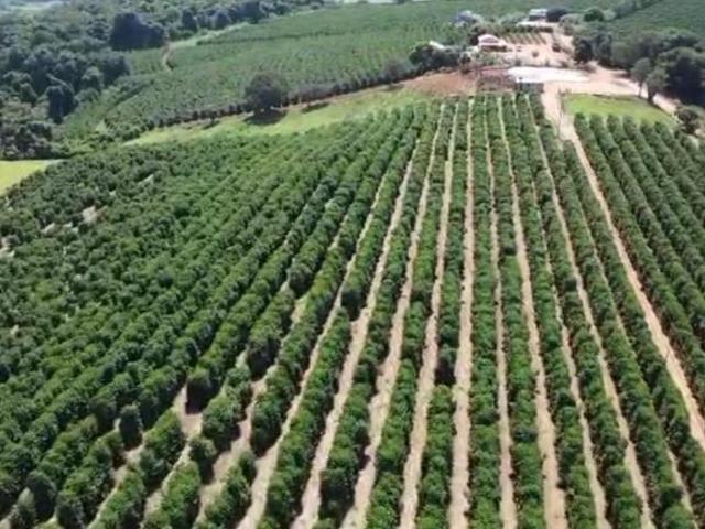 Sítio e chácara venda em Região Geográfica Imediata de Três Pontas - Boa Esperança, Santana da Vargem