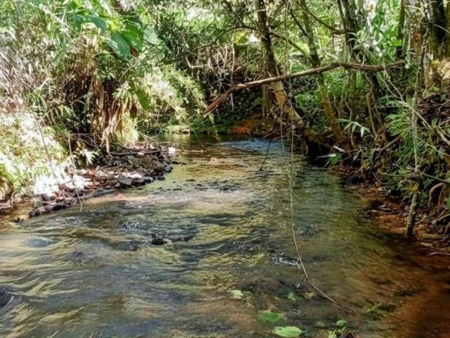 Sítio e chácara venda em Região Geográfica Imediata de Belo Horizonte, Região Metropolitana de Belo Horizonte