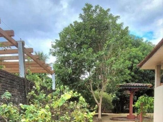 Sítio e chácara venda em Região Geográfica Imediata de Maringá, Doutor Camargo