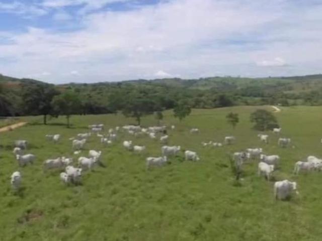 Sítio e chácara venda em Região Geográfica Imediata de Passos, São João Batista do Glória