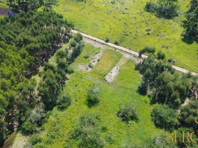 Sítio e chácara venda em Região Geográfica Imediata de Charqueadas - Triunfo - São Jerônimo, Região Metropolitana de Porto Alegre