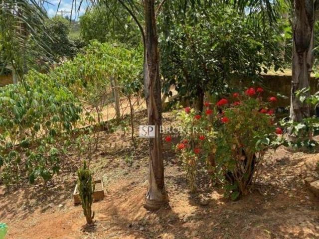 Sítio e chácara venda em Região Imediata de Campinas, Região Metropolitana de Campinas