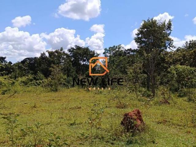 Sítio e chácara venda em Região Geográfica Imediata de Uberlândia, Oliveira Fortes