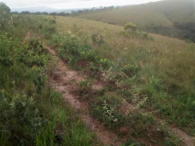 Sítio e chácara venda em Região Geográfica Imediata de Caxambu - Baependi, Minduri