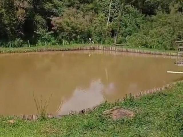 Sítio e chácara venda em Região Geográfica Imediata de Pouso Alegre, Santa Rita do Sapucaí