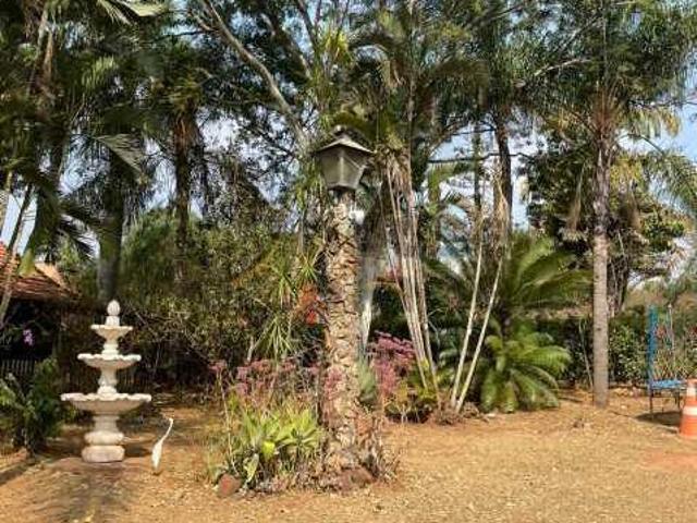 Sítio e chácara venda em Região Imediata de São José do Rio Preto, Região Metropolitana de São José do Rio Preto
