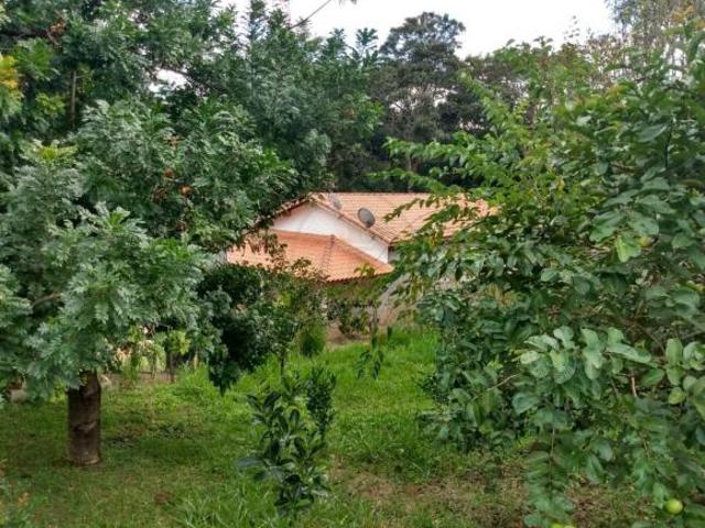 Sítio e chácara venda em Região Imediata de Ribeirão Preto, Região Metropolitana de Ribeirão Preto