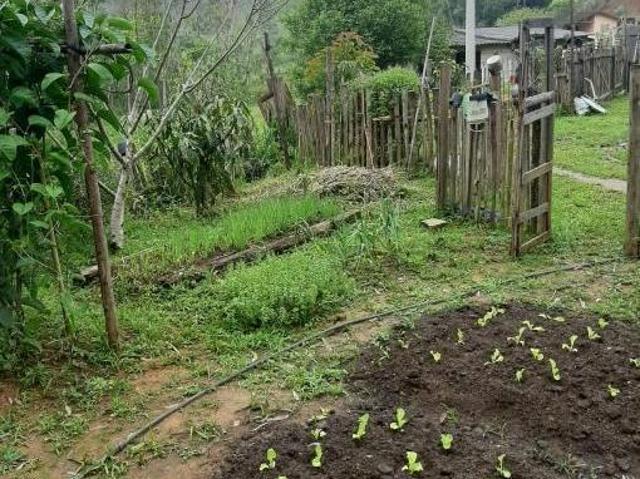Sítio e chácara venda em Região Imediata de Caraguatatuba-Ubatuba-São Sebastião, Região Metropolitana do Vale do Paraíba e Litoral Norte