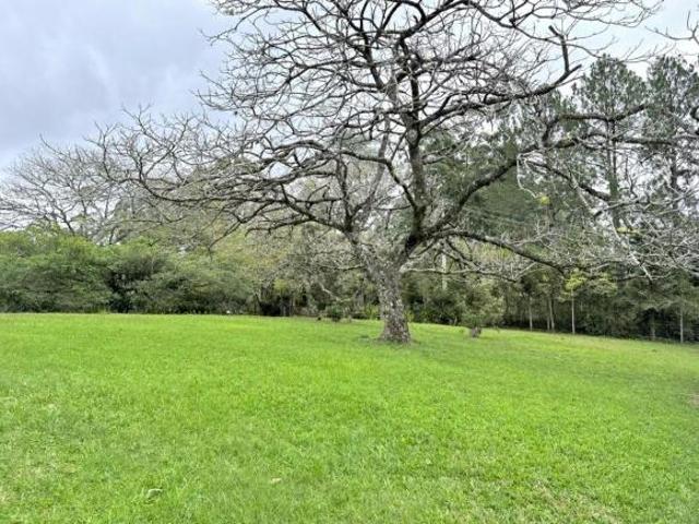 Sítio e chácara venda em Região Geográfica Imediata de Taquara - Parobé - Igrejinha, Região Metropolitana de Porto Alegre