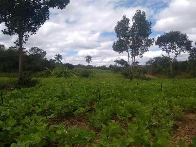 Sítio e chácara venda em Região Geográfica Imediata de Montes Claros, Montes Claros