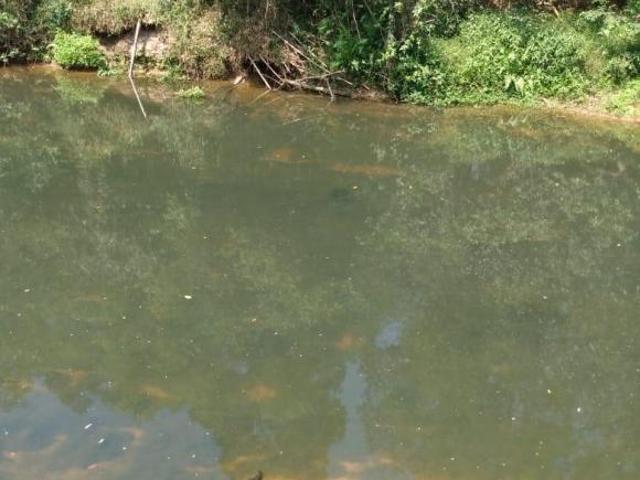 Sítio e chácara venda em Região Imediata de Itapetininga, Angatuba
