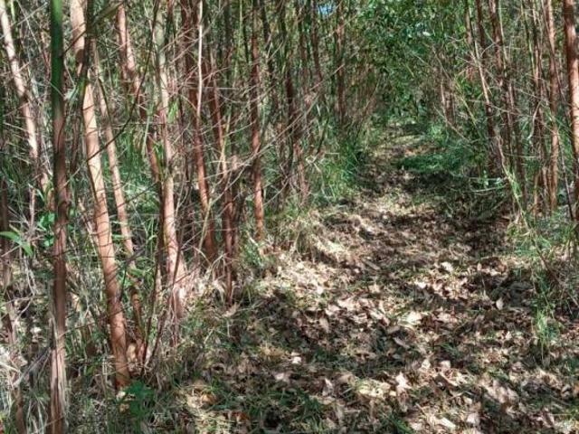 Sítio e chácara venda em Região Imediata de Itapetininga, Região Metropolitana de Sorocaba
