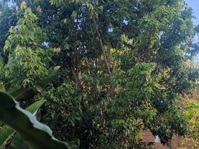 Sítio e chácara venda em Região Geográfica Imediata de Oliveira, Região Metropolitana de Belo Horizonte