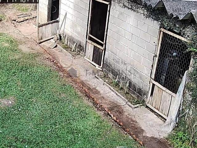Sítio e chácara venda em Osasco