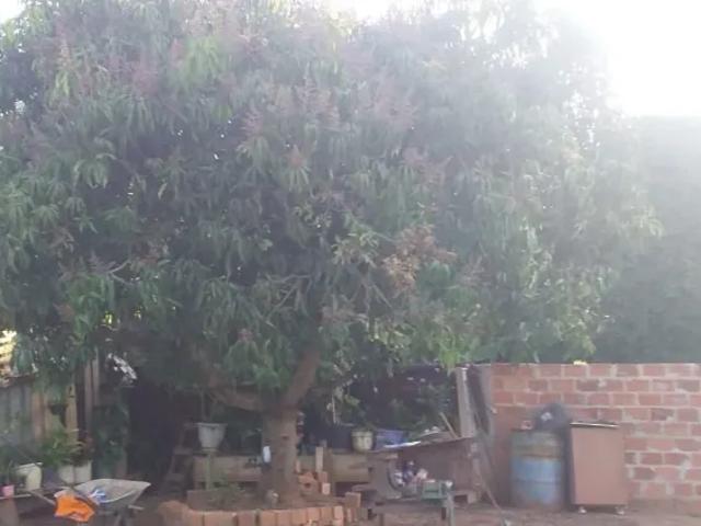 Fazenda venda em Região Imediata de Itapetininga, Região Metropolitana de Sorocaba