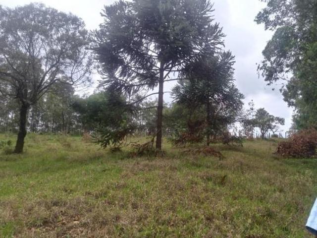 Sítio e chácara venda em Região Geográfica Imediata de Oliveira, Oliveira